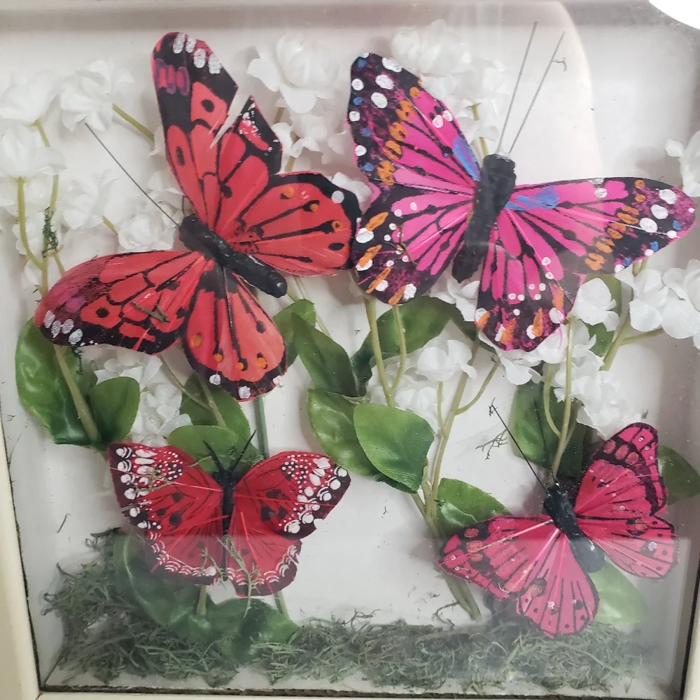 Butterfly display wall hanging. 212